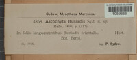 Image Associated With the Occurence